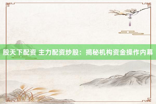 股天下配资 主力配资炒股：揭秘机构资金操作内幕