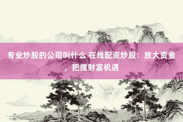 专业炒股的公司叫什么 在线配资炒股：放大资金，把握财富机遇